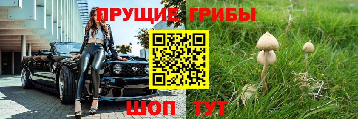 купить  сайты  Галлюциногенные грибы Magic Shrooms  Вход с VPN  Зеленокумск 