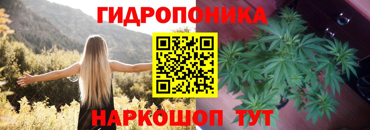 Конопля конопля  Бошки марихуана SATIVA & INDICA  Конопля Bruce Banner  Вход с VPN  Марихуана план  Зеленокумск 